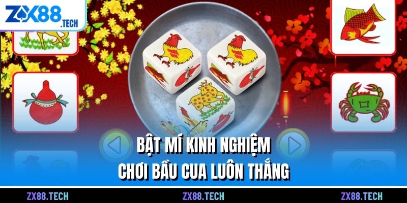Bật mí kinh nghiệm chơi bầu cua luôn thắng 