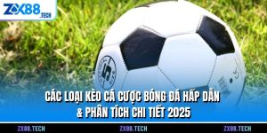 Các Loại Kèo Cá Cược Bóng Đá Hấp Dẫn & Phân Tích Chi Tiết 2025
