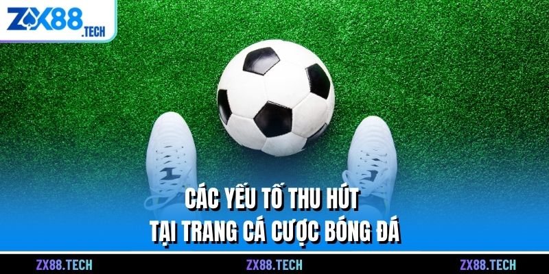Các yếu tố thu hút tại trang cá cược bóng đá 