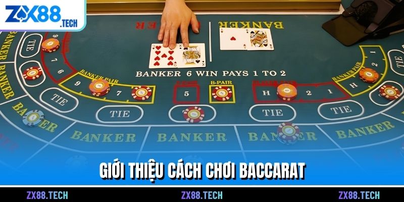 Giới thiệu cách chơi Baccarat